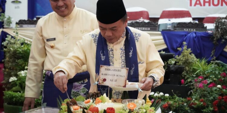 Al Haris Apresiasi Kemajuan Pembangunan Bungo
