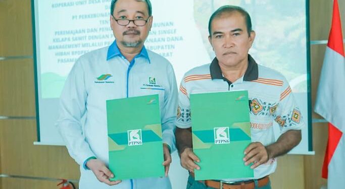 PTPN dan KUD Sepakat   Remajakan Sawit Pola Mitra