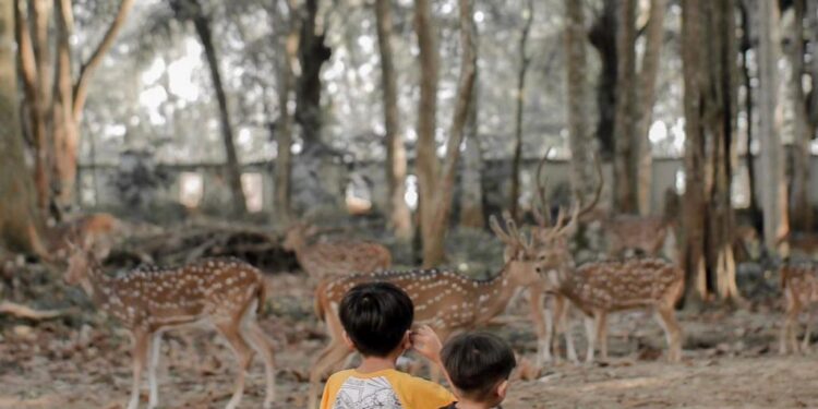 PTPN VI Sediakan Jogging Track,  Drive Golf dan Sekelompok Satwa