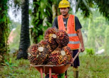 PTPN VI Raih 5 Sertifikat RSPO