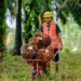 PTPN VI Raih 5 Sertifikat RSPO