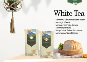 White Tea Produk PTPN VI Miliki Banyak Manfaat