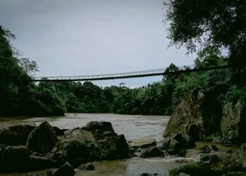 Resmi! Geopark Merangin Jadi Warisan Dunia UNESCO