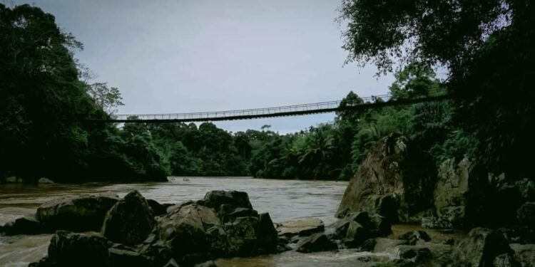 Resmi! Geopark Merangin Jadi Warisan Dunia UNESCO