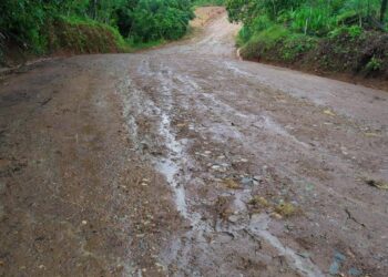 PTPN VI Perbaiki Jalan Desa 3,5 KM