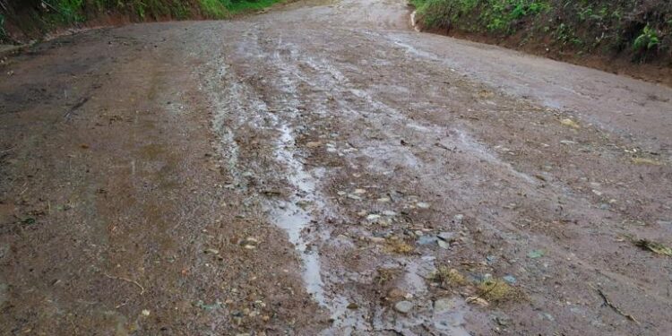 PTPN VI Perbaiki Jalan Desa 3,5 KM