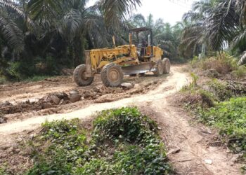 PTPN VI Perbaiki Jalan Utama Desa