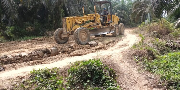 PTPN VI Perbaiki Jalan Utama Desa