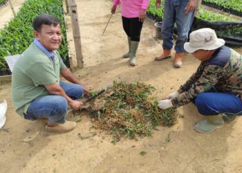 Peduli Warga, Mengenal Unit Usaha Rimbo Dua, PTPN VI