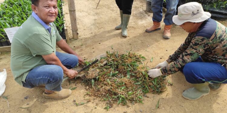 Peduli Warga, Mengenal Unit Usaha Rimbo Dua, PTPN VI