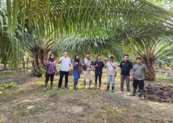 Anak Perusahaan Holding Perkebunan Nusantara III (Persero) Raih Produktivitas Kilogram TBS Tertinggi Terhadap RKAP