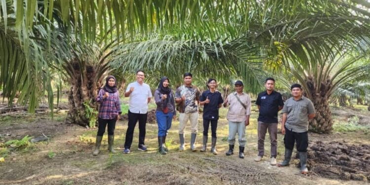 Anak Perusahaan Holding Perkebunan Nusantara III (Persero) Raih Produktivitas Kilogram TBS Tertinggi Terhadap RKAP