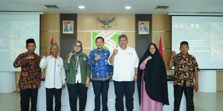 Kebun Sawit Tiga KUD  Diremajakan PTPN VI