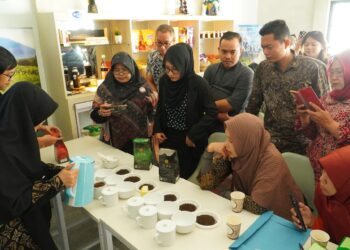 Heboh, Kompetisi Meracik Secangkir Teh Kayu Aro PTPN 6