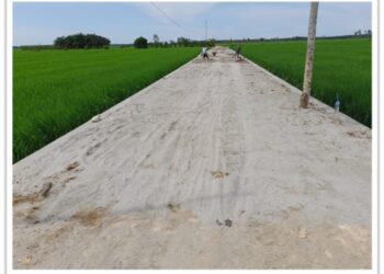 Bantu Para Petani, PTPN IV Benahi Jalan Desa di Kabupaten Batu Bara