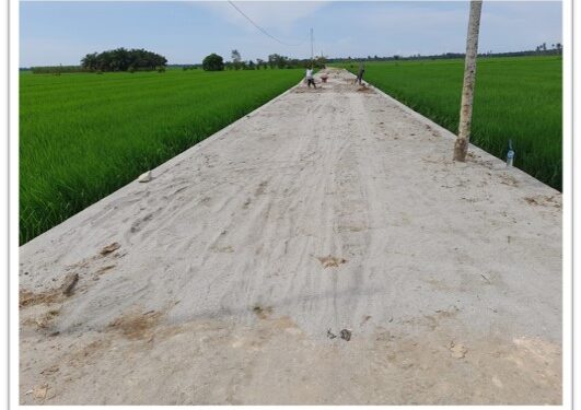 Bantu Para Petani, PTPN IV Benahi Jalan Desa di Kabupaten Batu Bara