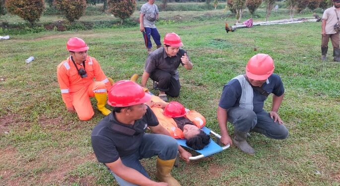 Karyawan PTPN 6 dan Damkar Padamkan Kebakaran Lahan