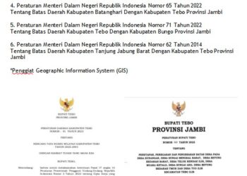 Peraturan Di Tebo Belum Singkron, 5000 Hektar Terdampak Oleh : Willy Marlupi*