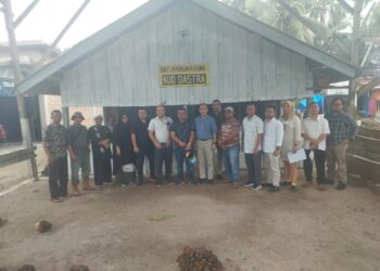 Lagi, PTPN 6 Remajakan  226 Hektar Sawit Rakyat