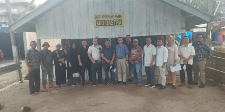 Lagi, PTPN 6 Remajakan 226 Hektar Sawit Rakyat