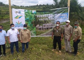 Sinergi PalmCo-BBKSDA Riau Komitmen Perkuat Konservasi Gajah Sumatera