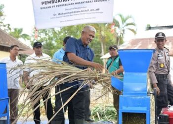 Tingkatkan Kualitas PTPN I Regional 5 Latih Ratusan Mitra Binaan Dan Salurkan Bantuan Mesin Pakan Ternak