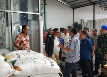 Jaga Stabilitas Pangan, Regional 8 bersama Pemda SulSel Melakukan Peninjauan Ke Beberapa Gudang Penyimpanan