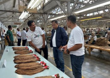 Perdalam Potensi dan Sinergi, Board of Regional Management PTPN I Regional 4 Langsungkan Kunjungan Kerja ke Kebun Tembakau dan HGU Tebu