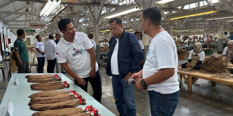 Perdalam Potensi dan Sinergi, Board of Regional Management PTPN I Regional 4 Langsungkan Kunjungan Kerja ke Kebun Tembakau dan HGU Tebu