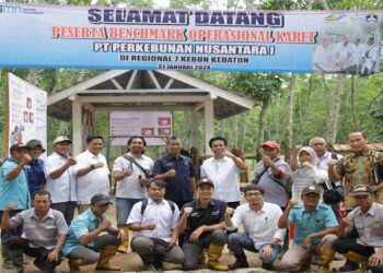 Cetak DRC Lateks di atas 30%, Kebun Karet Kedaton Jadi Benchmark PTPN I