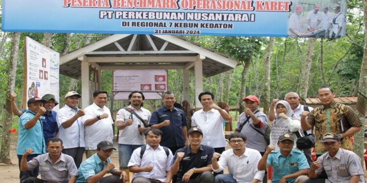 Cetak DRC Lateks di atas 30%, Kebun Karet Kedaton Jadi Benchmark PTPN I