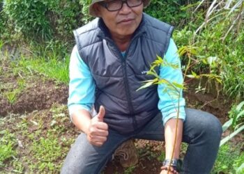 Bentuk Kepedulian Terhadap Lingkungan, Manajemen Kebun Sedep PTPN I Regional 2 Lakukan Penanaman Pohon