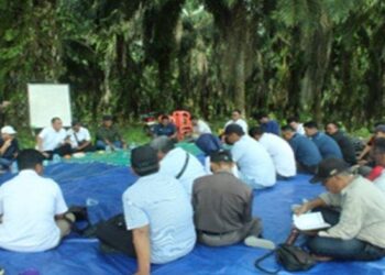 “PTPN IV Regional V Gelar In House Training  Tanaman Ulang dan Pemancangan “