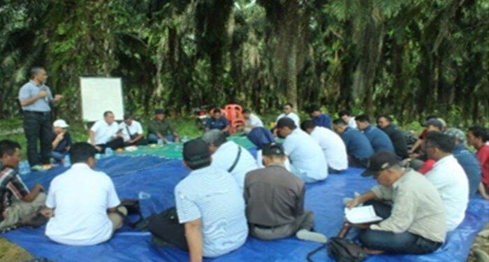 “PTPN IV Regional V Gelar In House Training  Tanaman Ulang dan Pemancangan “