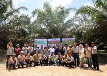 Akselerasi PSR, Petani Kalimantan Pelajari Pola Kemitraan PTPN IV Regional 3 Riau
