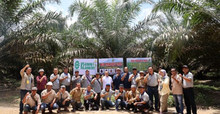 Akselerasi PSR, Petani Kalimantan Pelajari Pola Kemitraan PTPN IV Regional 3 Riau