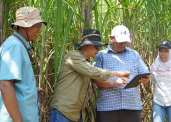 SGN PG Sragi, Benteng Terakhir Pabrik Gula di Pantura Jawa Tengah: Fokus Bangun Kemitraan Petani Jaga Pasokan BBT