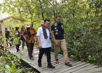 Sandiaga Uno Bersama Gubernur Al Haris Wisata Mangrove-Berburu Takjil di Tungkal