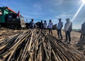 Pabrik Gula SGN, Sudah Siap Memulai Giling 2024