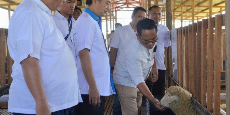 Peresmian Kegiatan Percobaan Pengembangan Pakan Ternak dan Ruminansia Kecil di Afdeling Pesantren