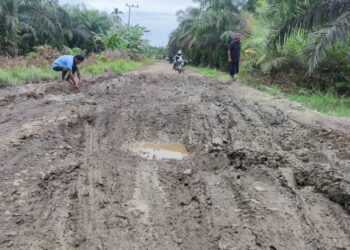 Jalan di Simbur Naik Tanjabtim Bak Kubangan Kerbau