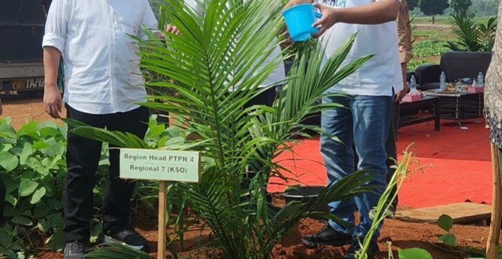 Tanam Perdana Kelapa Sawit, Denny Ramadhan: “Kita Tanam dengan AKHLAK”