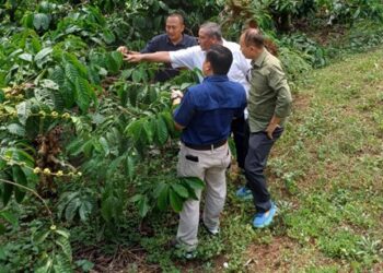 Asdep Pengembangan Agribisnis Perkebunan Lakukan Kunjungan Lapangan ke Kampoeng Kopi Banaran