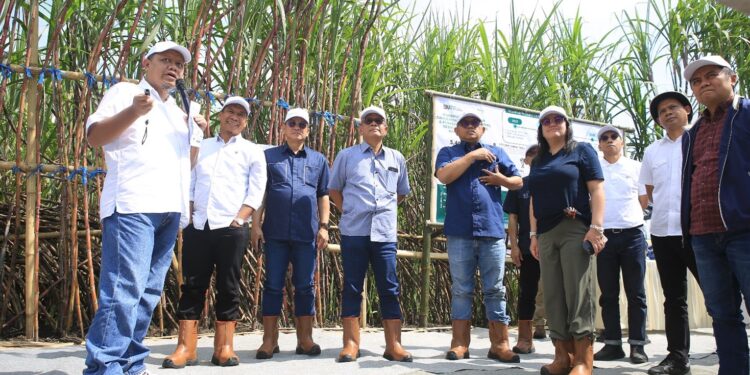 Panen Perdana Tebu Bersama Kementerian BUMN, Region Head PTPN I Regional 4: Optimis Protas Sentuh Angka 100 Ton/Ha