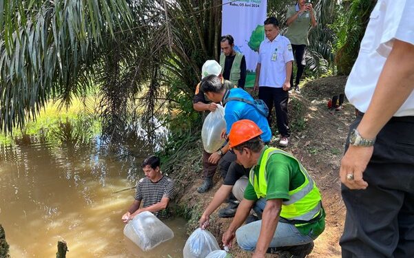 PTPN IV Regional 4, Berikan Bantuan Benih Ikan ke Masyarakat Sekitar Wilayah Kerja