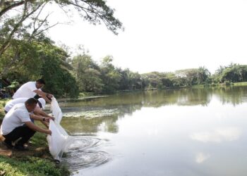 PTPN IV KSO Reg 7 Lakukan Penananam Pohon dan Tebar Ikan di Bekri, Peringati Hari Lingkungan Hidup Sedunia