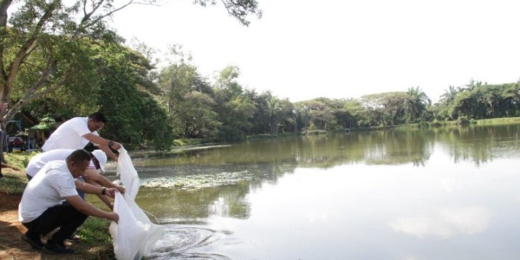 PTPN IV KSO Reg 7 Lakukan Penananam Pohon dan Tebar Ikan di Bekri, Peringati Hari Lingkungan Hidup Sedunia