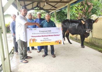 Berbagi di Hari Raya Idul Adha, PT KPBN Salurkan Hewan Qurban sebagai Bagian dari Program CSR di Dumai