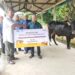 Berbagi di Hari Raya Idul Adha, PT KPBN Salurkan Hewan Qurban sebagai Bagian dari Program CSR di Dumai