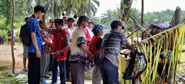 Pra Replanting, PTPN IV Regional V Lakukan Baremah Kearifan Lokal Suku Dayak Kalimantan Membersihkan dan Menyucikan Tanah